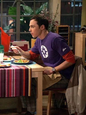 Big Bang Theory S3 E20