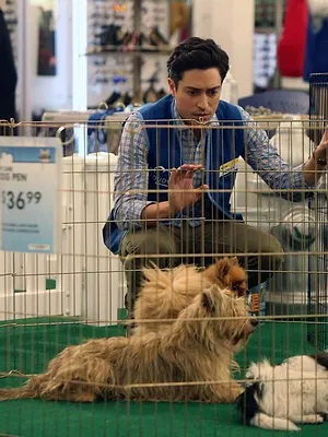 Superstore S2 E6