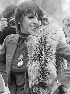 Liza Minnelli, la dernière héritière d'Hollywood