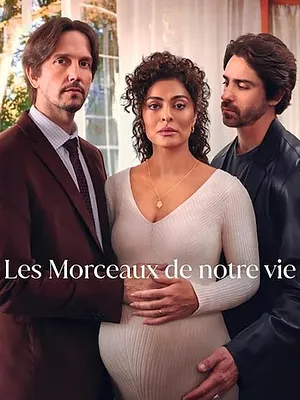 Les Morceaux de notre vie