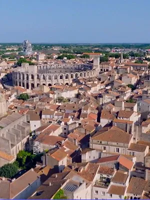 Des racines et des ailes