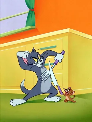 Tom et Jerry Show S1 E37