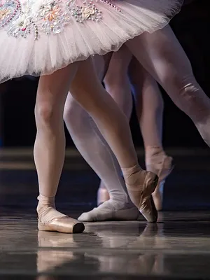 Sacrificio - Compañía Danza Contemporánea de Cuba