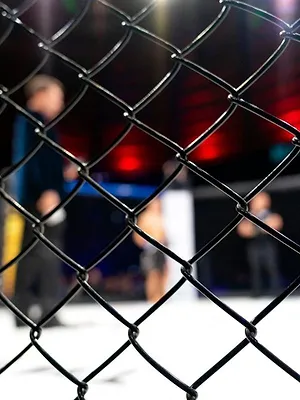 UFC : Conférence de presse