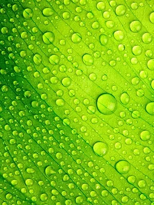 Houille blanche, l'énergie des sommets