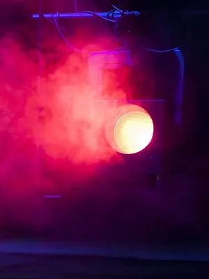 Danse avec les stars