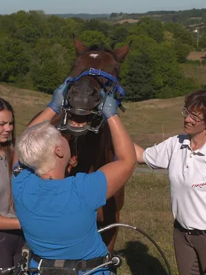 Au galop !