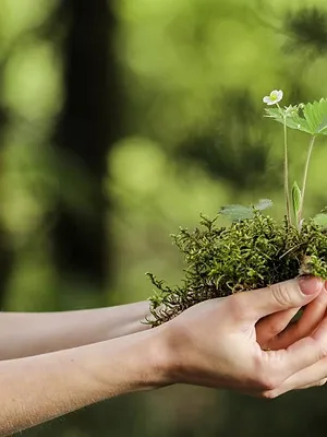 Naturellement Moselle