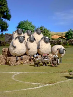 Shaun le champion S1 E2