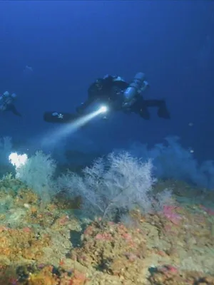 Les trésors perdus de Rome