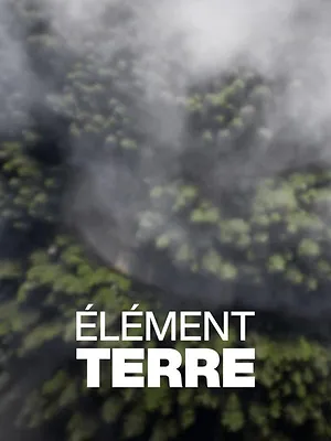 Elément Terre