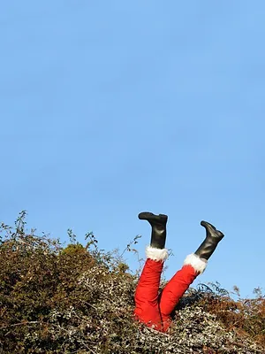 Le grand bêtisier de Noël *2014