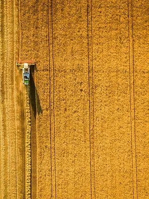 Terre de partage, passion céréales