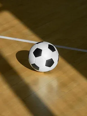 Douai - Villeneuve d'Ascq