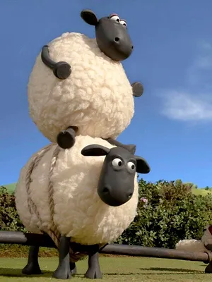 Shaun le champion S1 E9