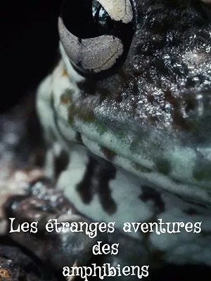 Les étranges aventures des amphibiens