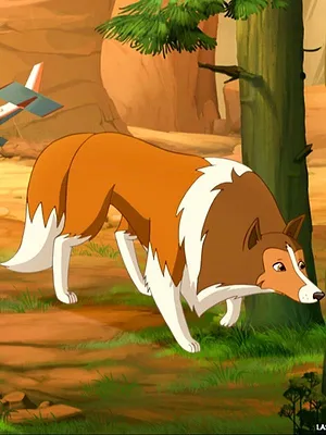 Lassie S1 E4