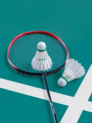 Badminton : Championnats d'Europe