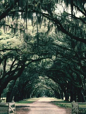 La face sombre de l'Amérique profonde