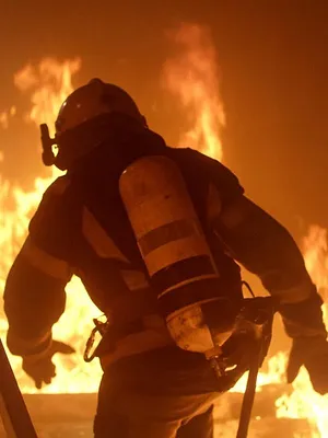 Chroniques criminelles