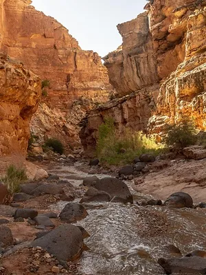 Alaska : La ruée vers l'or