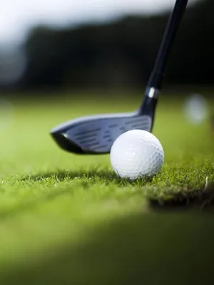 Golf : Walker Cup