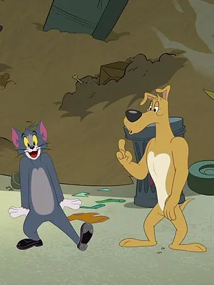 Tom et Jerry Show S4 E59