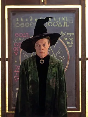 Harry Potter à l'école des sorciers