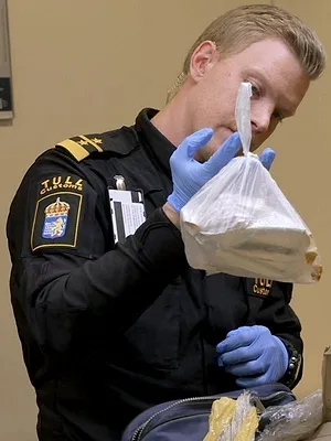 Au cœur des douanes : Suède