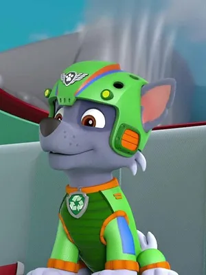 Paw Patrol, la Pat'Patrouille S4 E8