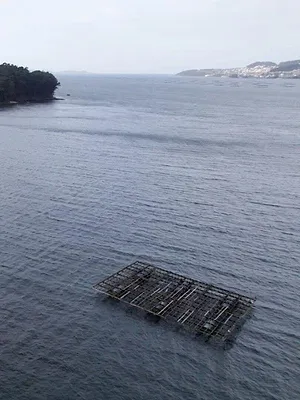 Espagne : côtes sous surveillance