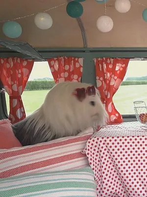 Samson & Marie S1 E53