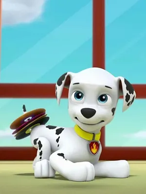 Paw Patrol, la Pat'Patrouille S4 E23