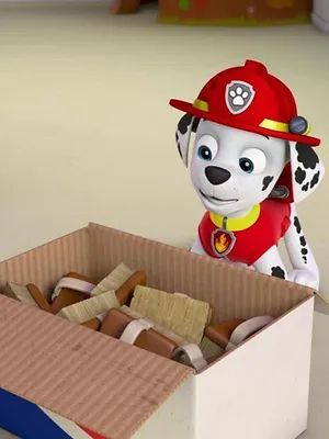 Paw Patrol, la Pat'Patrouille S2 E16