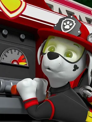 Paw Patrol, la Pat'Patrouille S6 E25