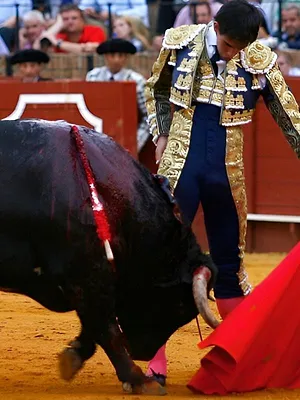 Tendido cero