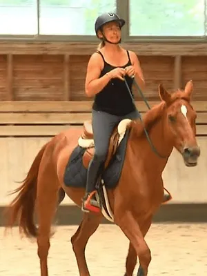 Au galop !