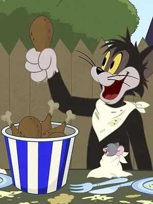 Tom et Jerry Show S3 E51