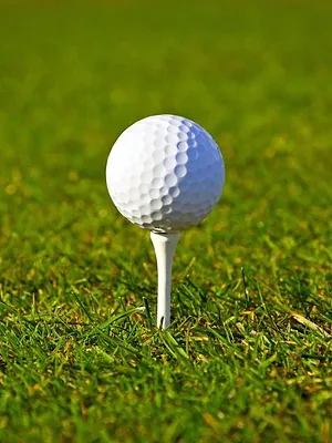 Golf : Open de St. Louis