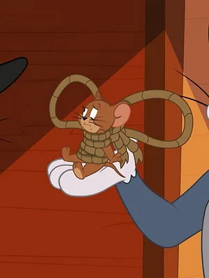 Tom et Jerry Show S5 E24