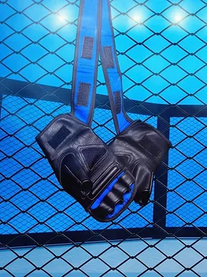 Format UFC