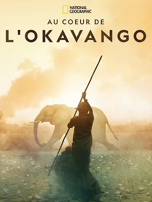 Au cœur de l'Okavango