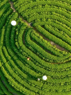 Trek à travers la Chine