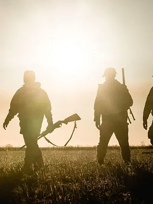 Québec à vol d'oiseau