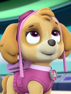 Paw Patrol, la Pat'Patrouille S5 E8