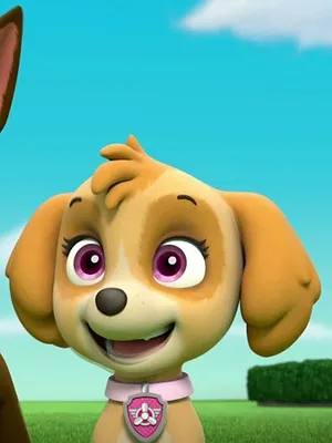 Paw Patrol, la Pat'Patrouille S4 E2
