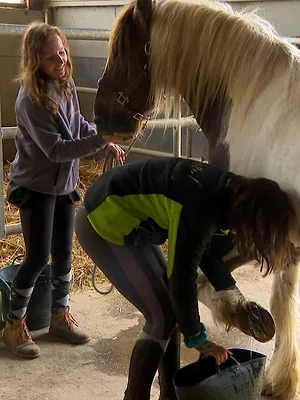 Au galop !