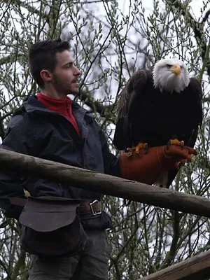 Une saison au zoo