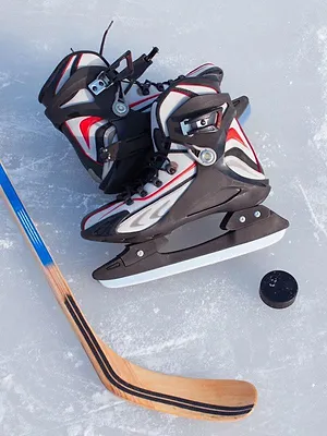 Florida Panthers / Edmonton Oilers