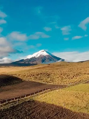 Des volcans et des hommes